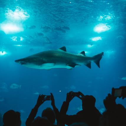 L'Aquarium de Paris