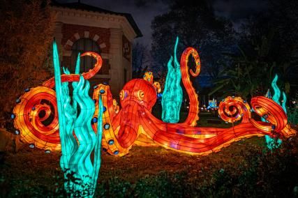 Jardin des Plantes in Paris: the illuminations