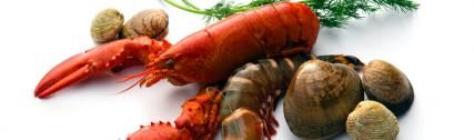 Comptoir des mers, for a seafood platter from Normandy 