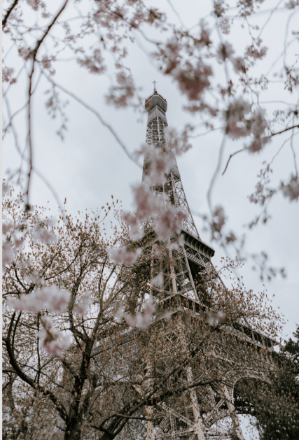 The Eiffel Tower in 1900