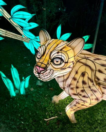 Jungle en Voie d'Illumination au Jardin des Plantes
