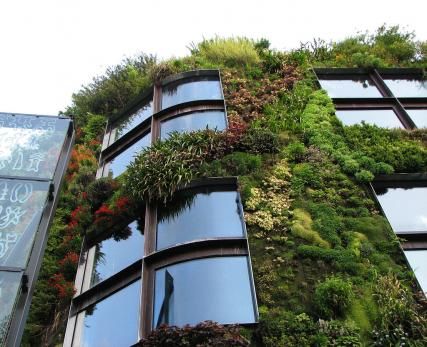 Le Jardin d'été 2022 au Musée du Quai Branly