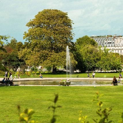 Les activités d'été au Jardin des Tuileries