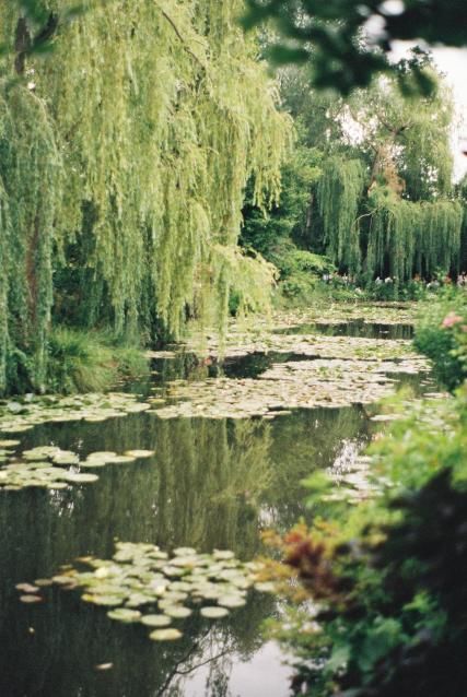 Léon Monet, frère de Claude au musée du Luxembourg
